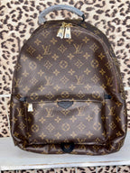 LV Brown monogram bag
