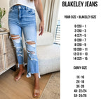PREORDER- URBAN DISTRESSED CROP JEAN