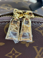 LV Brown monogram bag