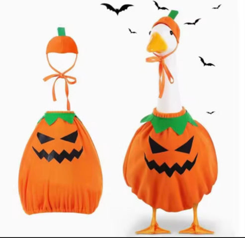 porch goose outfits