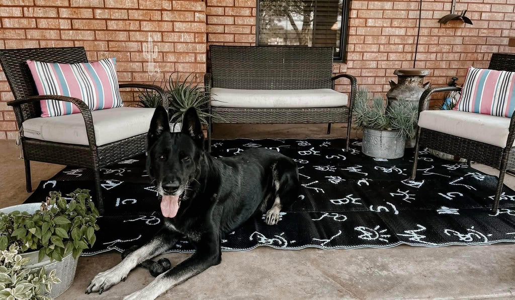 Outdoor Boho/Ranch Rug