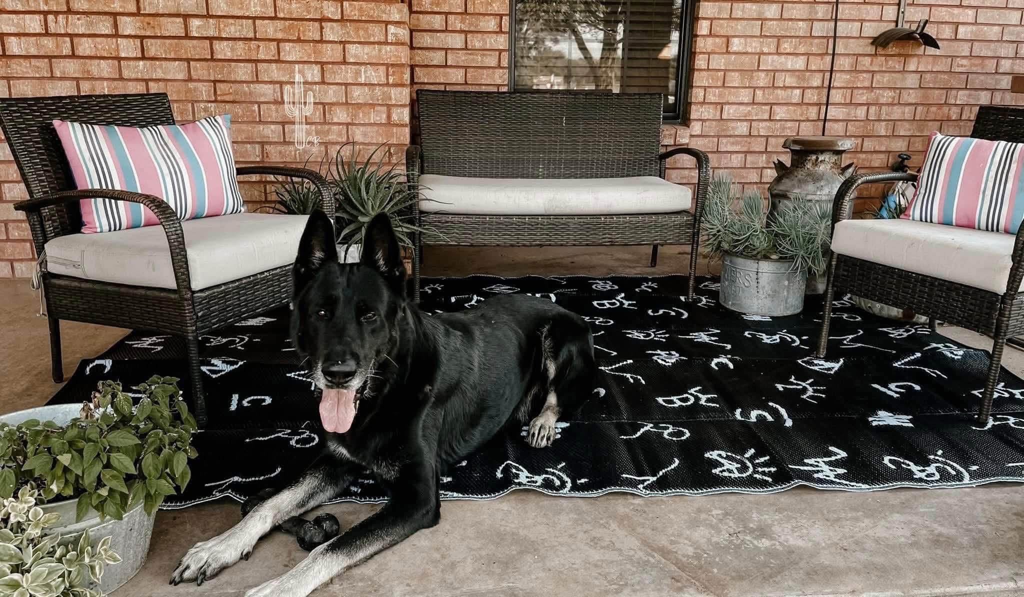 Outdoor Boho/Ranch Rug