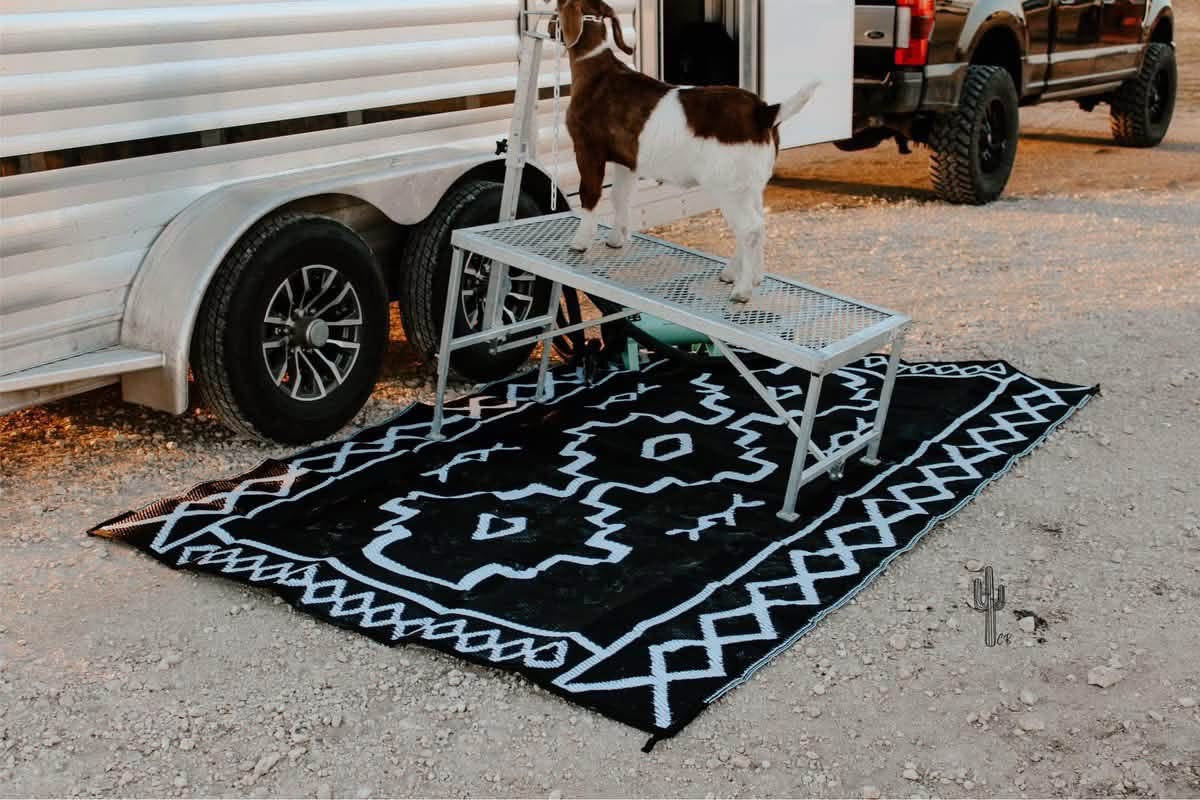 Outdoor Boho/Ranch Rug