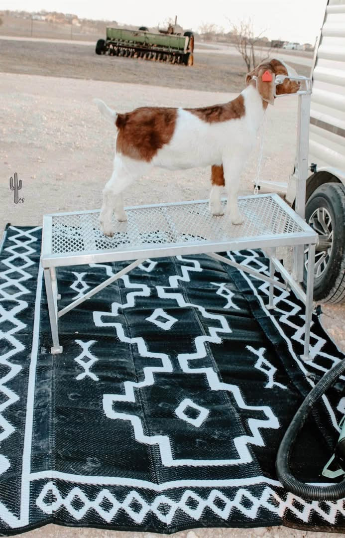 Outdoor Boho/Ranch Rug
